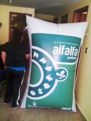 RÉPLICA COSTAL DE ALIMENTO