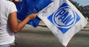BANDERAS DE TELA CON VARA